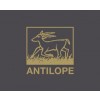 Antilope