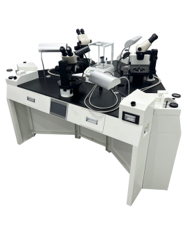 Jewelry and Jade Identification Comprehensive Training Table